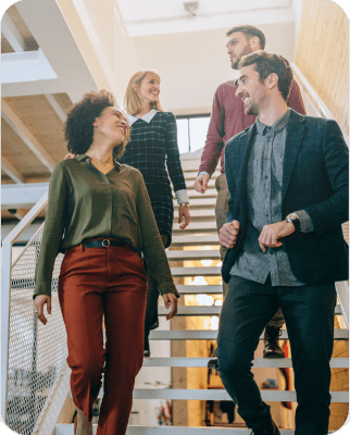 Team at the office